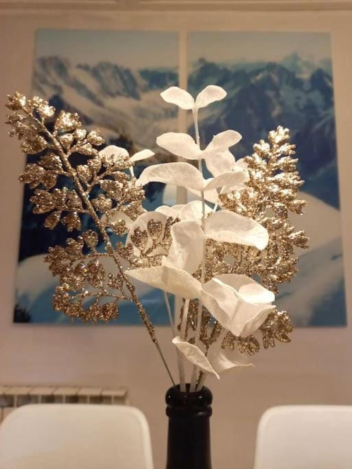 Bel appartement familial et cosy Apartment in Saint-Gervais-Bains