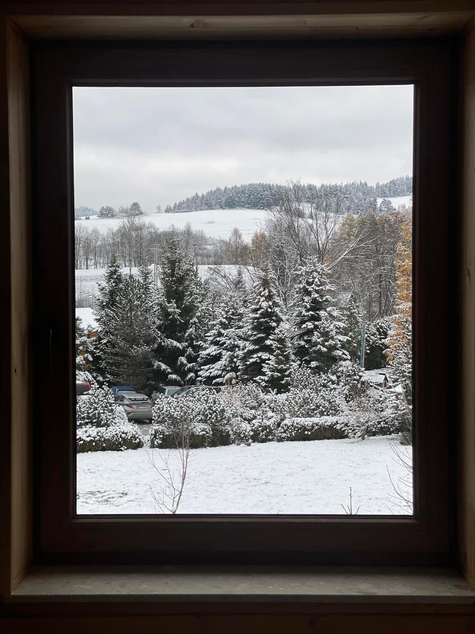 Natural landscape, Winter