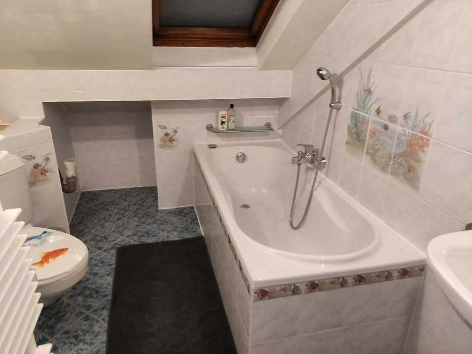 Shower, Toilet, Bathroom, Bath
