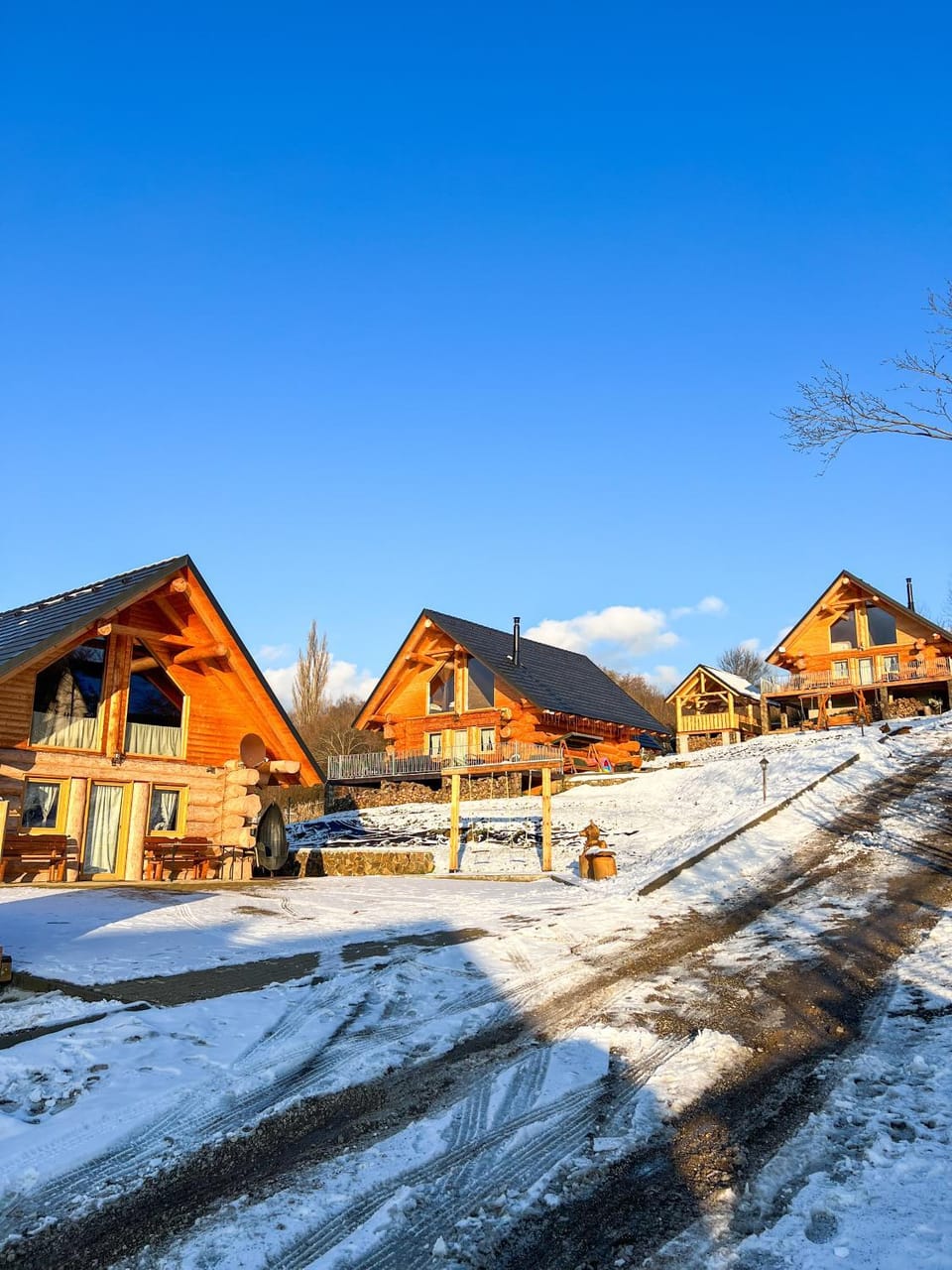 Medveď, Vlk, Líška Zrubová rozprávka nad rybníkom Chalet in Slovakia