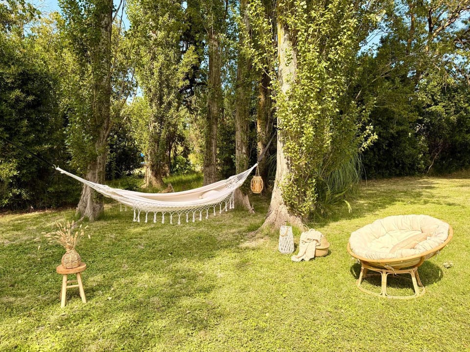 Natural landscape, Garden, Garden view