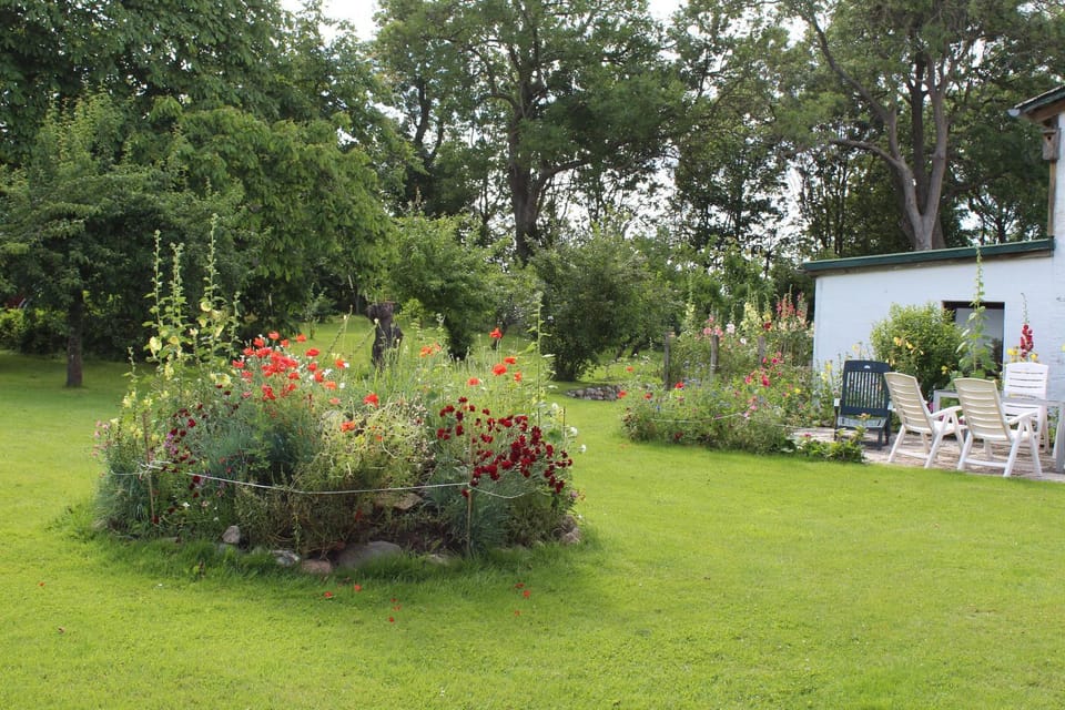 Natural landscape, Garden