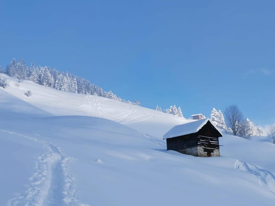 Apartment Mountain View Apartment in Tyrol