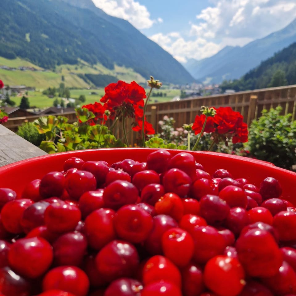 klein&fein Apartment in Neustift im Stubaital