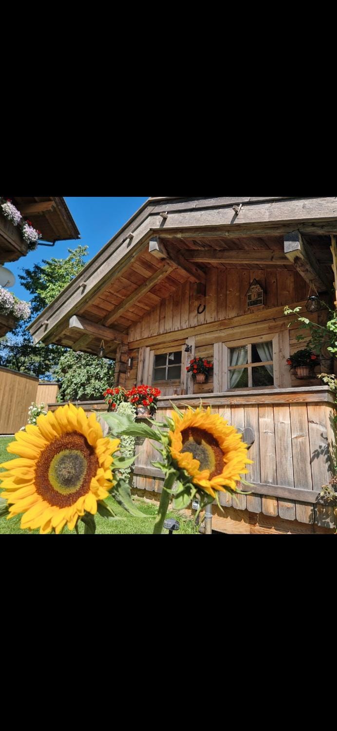 klein&fein incl STUBAI SUPERCARD Apartment in Neustift im Stubaital