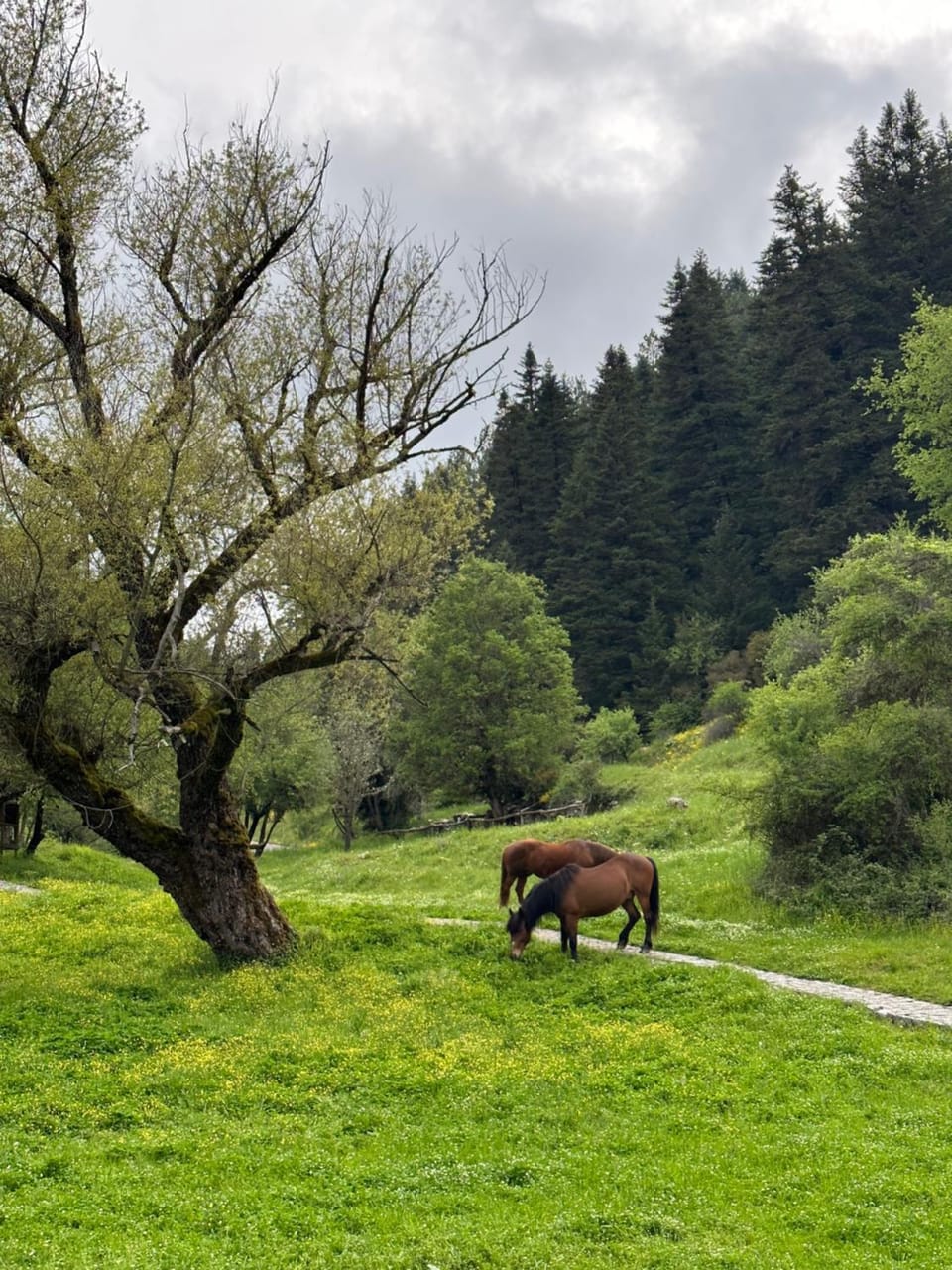 Natural landscape