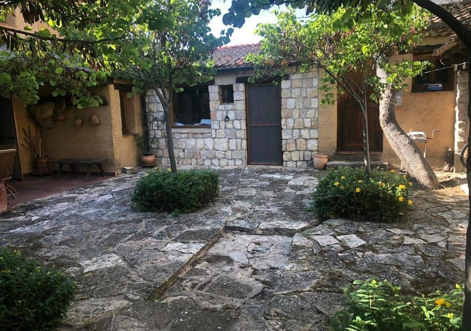 Property building, Day, Garden, Garden view