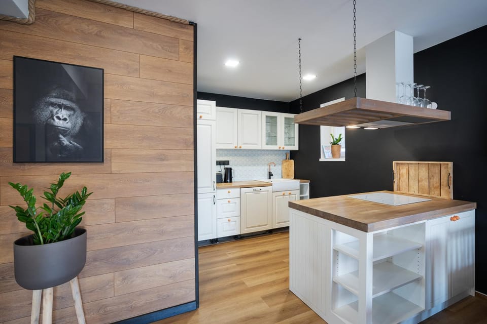 Kitchen or kitchenette, minibar, pet friendly, stove