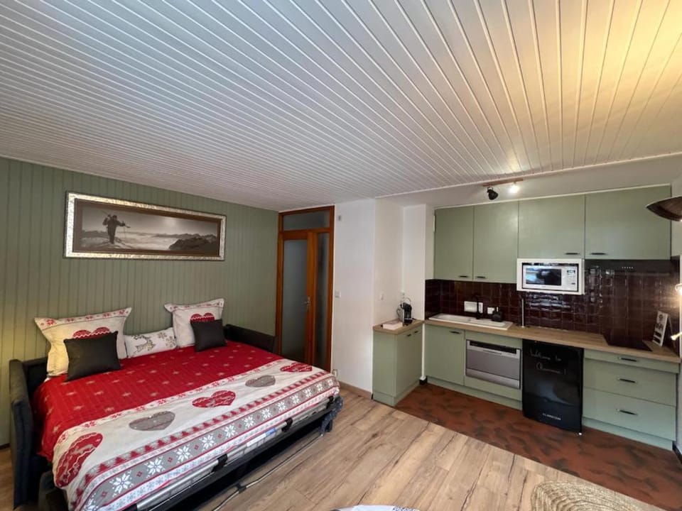 STUDIO DENT DU CAIMAN, CHAMONIX hyper CENTRE, PARKING, VUE MONT BLANC Apartment in Chamonix
