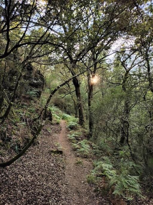 Natural landscape, Hiking