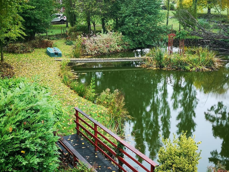 Garden, Garden, Garden view, Lake view
