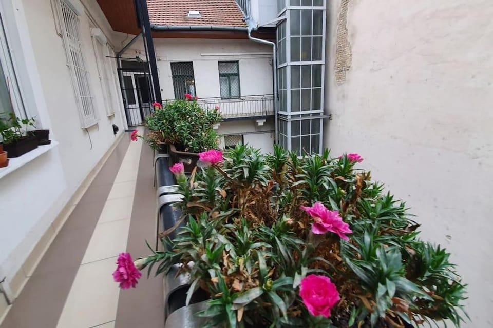 Violet apartment with Air condition Apartment in Budapest