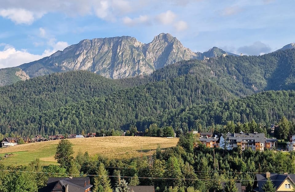 View (from property/room)