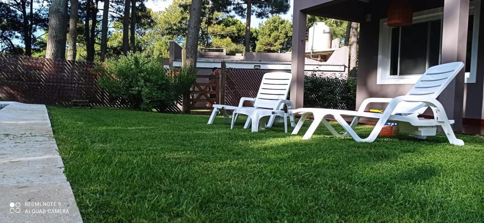 Garden, sunbed