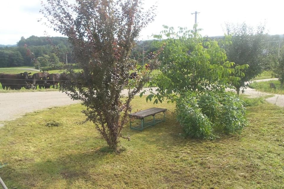 Bezbariérové ubytování na statku Apartment in South Bohemian Region