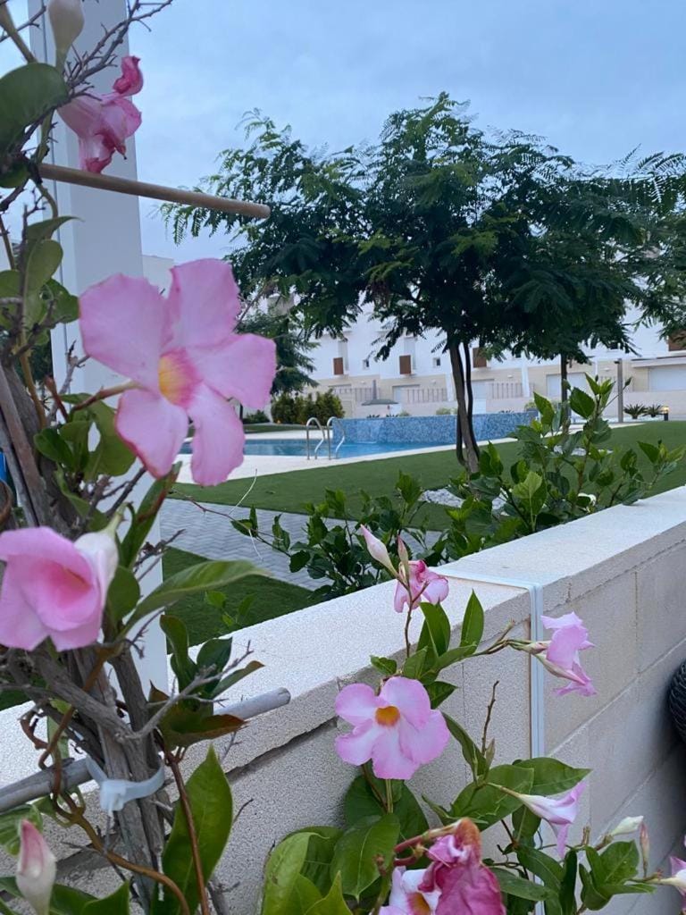 Casa El Sol House in Torrevieja