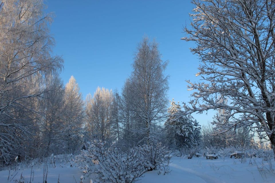 Viisi Leipää Apartment in Finland