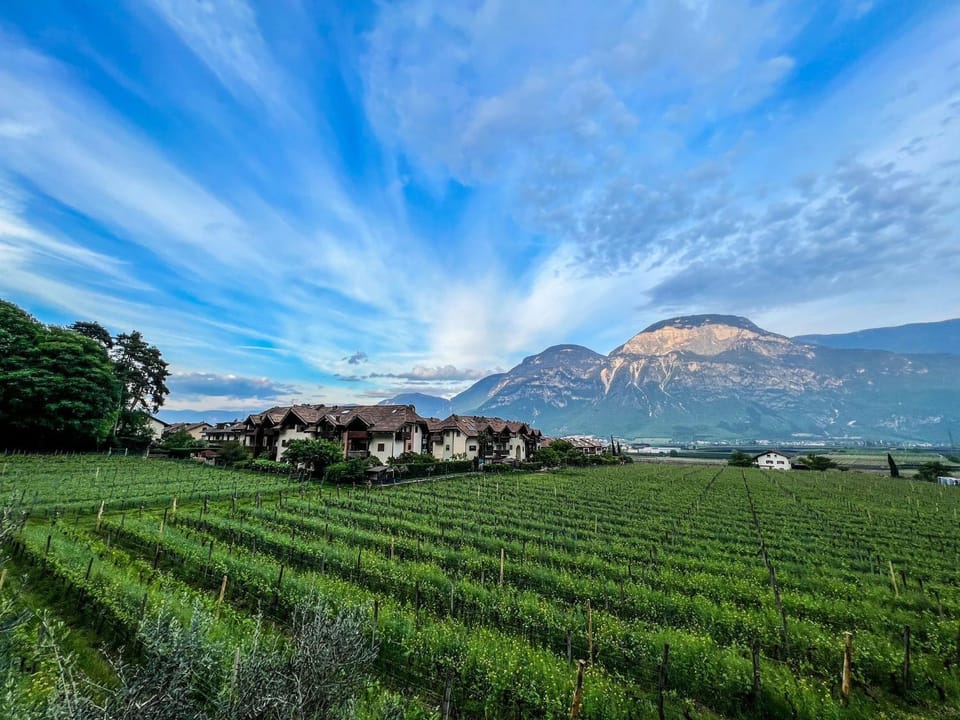 Haus Weinblick Apt 5 House in Trentino-South Tyrol