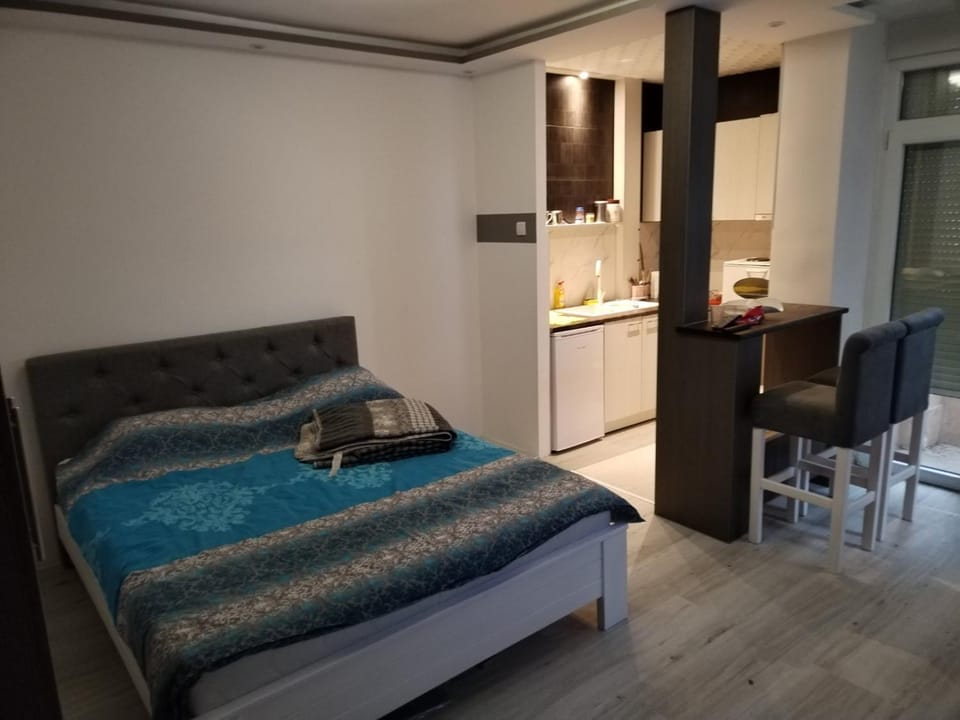 VIN Studio Apartment in Serbia