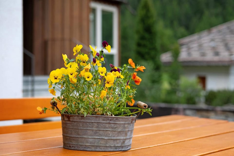 Haus Lena Apartment in Trentino-South Tyrol