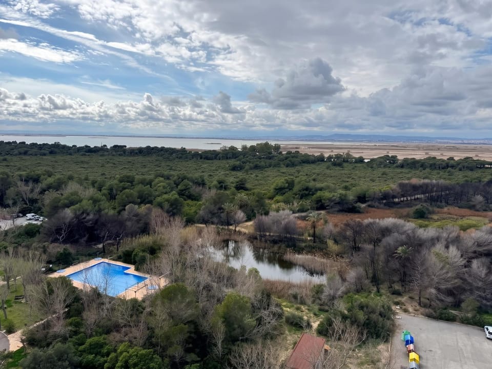 Pool view