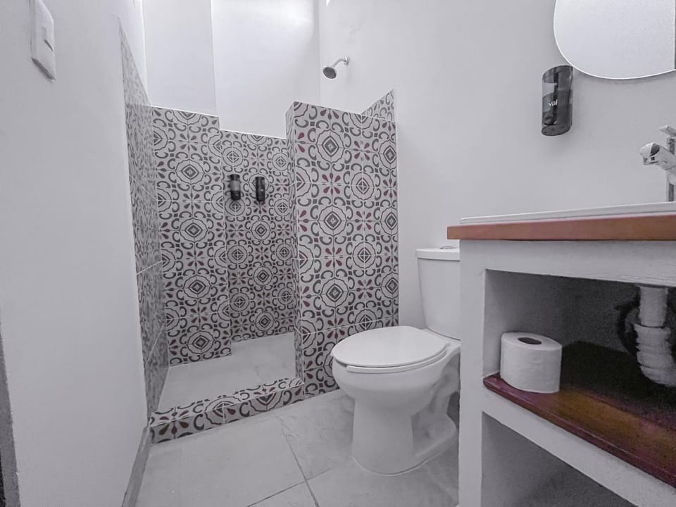 Shower, Toilet, Bathroom, bidet