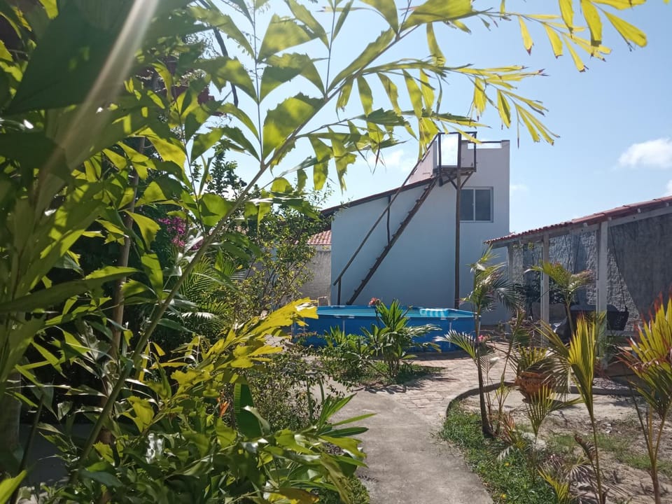 Property building, Garden, Garden view