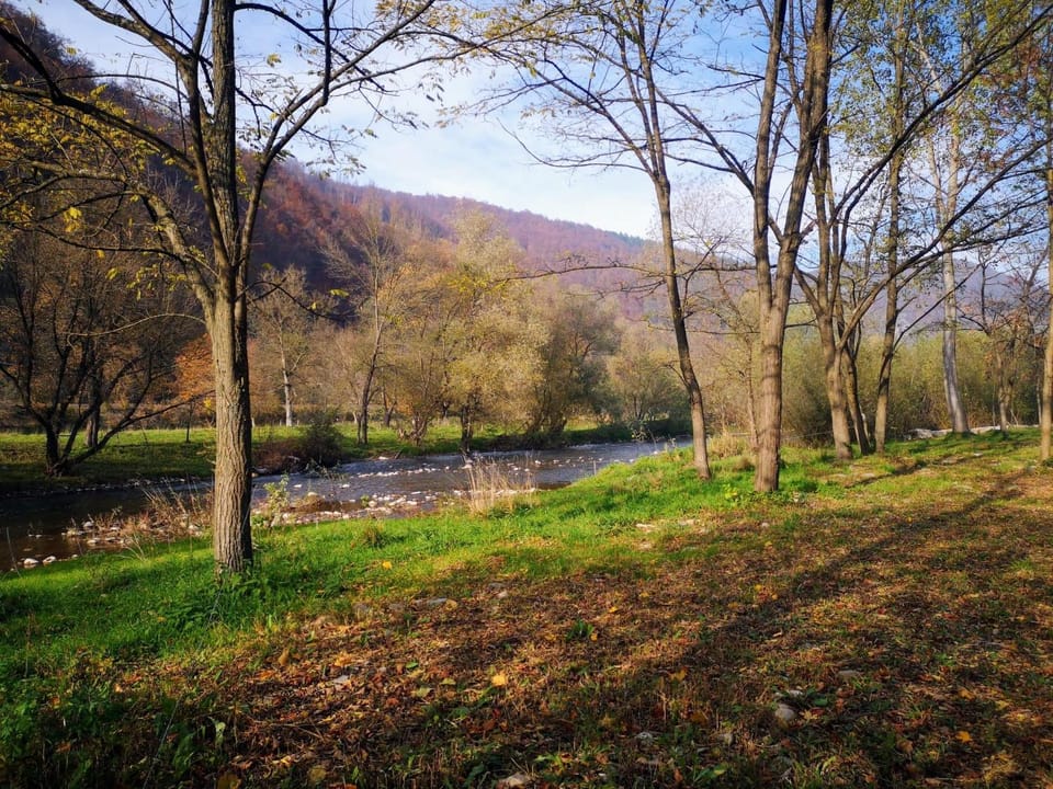 River view
