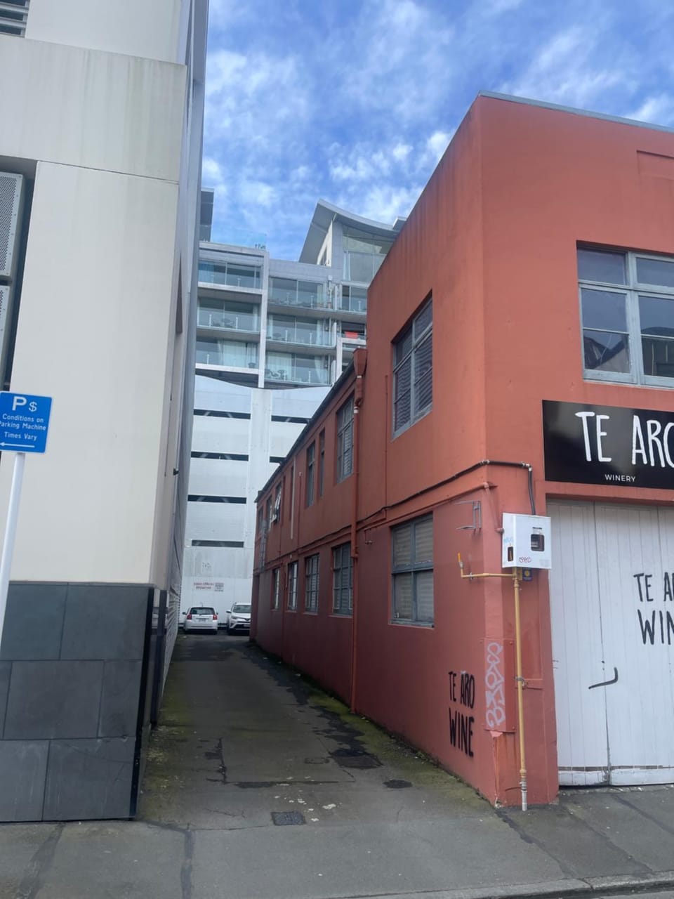 Stylish 2 bedrooms townhouse in central Wellington with a free car park Apartment in Wellington