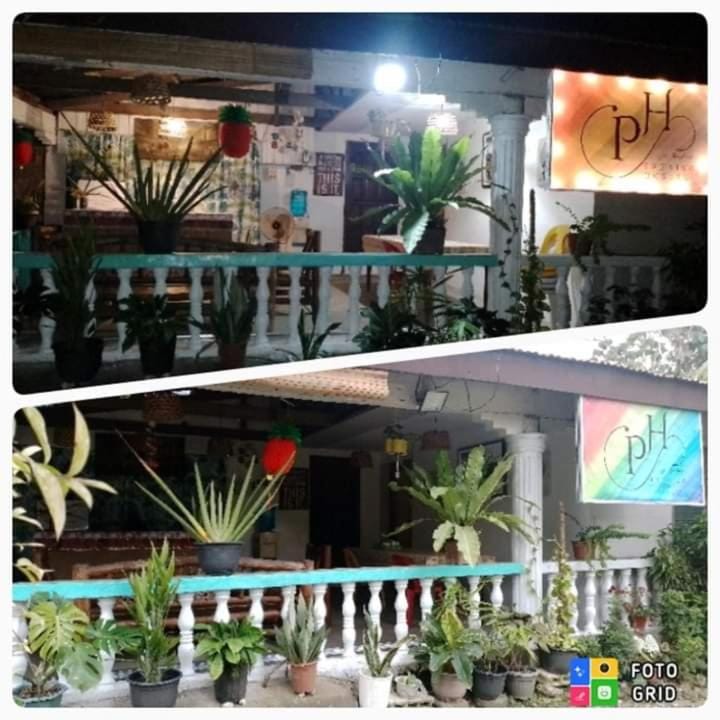 Paraiso Hostel Moalboal Hostel in Central Visayas