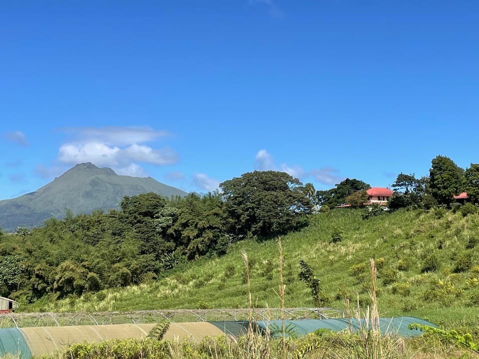 Garden, Mountain view