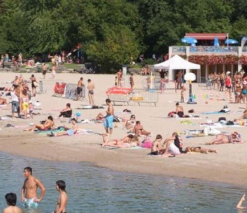 Strasbourg «La source de ValAuRa » De l’Eau à l’Or Apartment in Illkirch-Graffenstaden