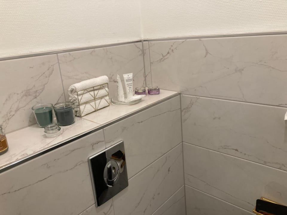 Strasbourg «La source de ValAuRa » De l’Eau à l’Or Apartment in Illkirch-Graffenstaden