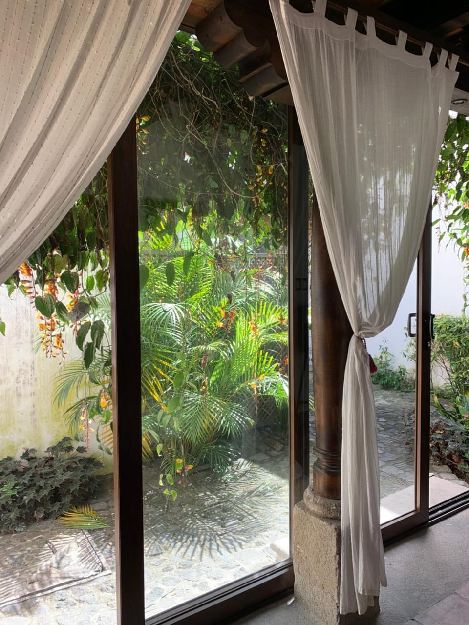 Garden view