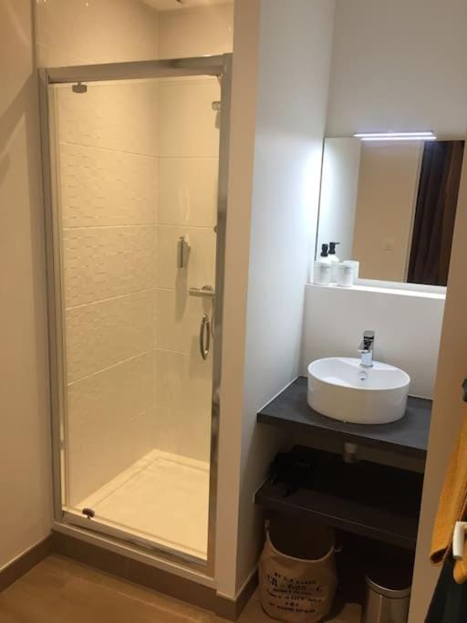 Appartement en cœur de ville Apartment in Angers