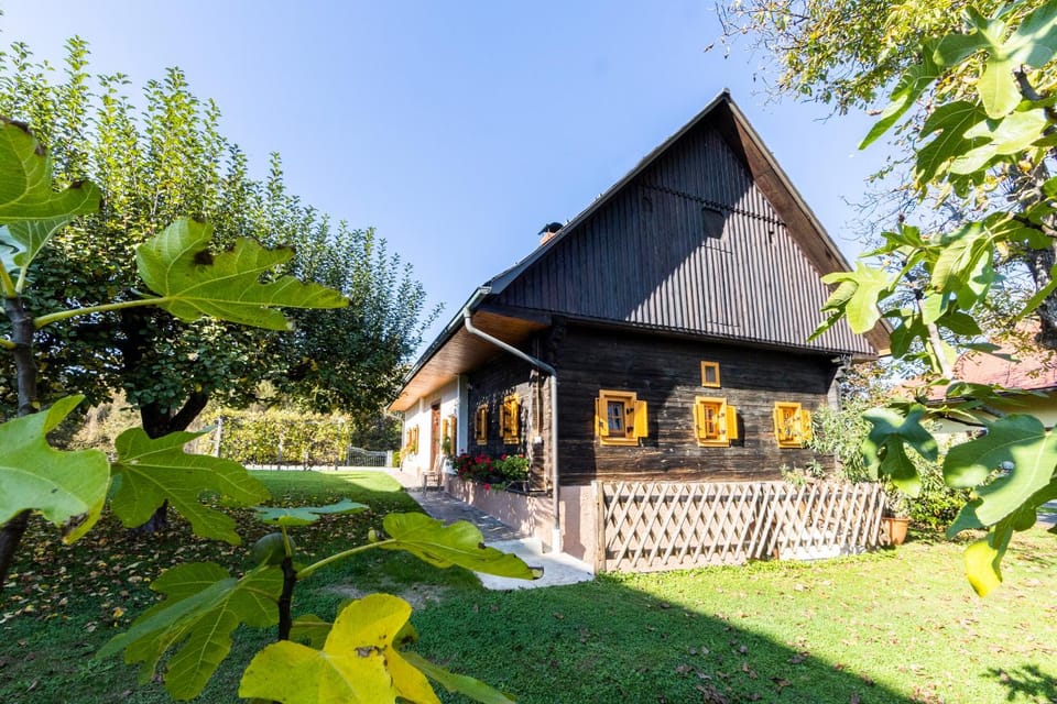 Property building, Garden, Garden view