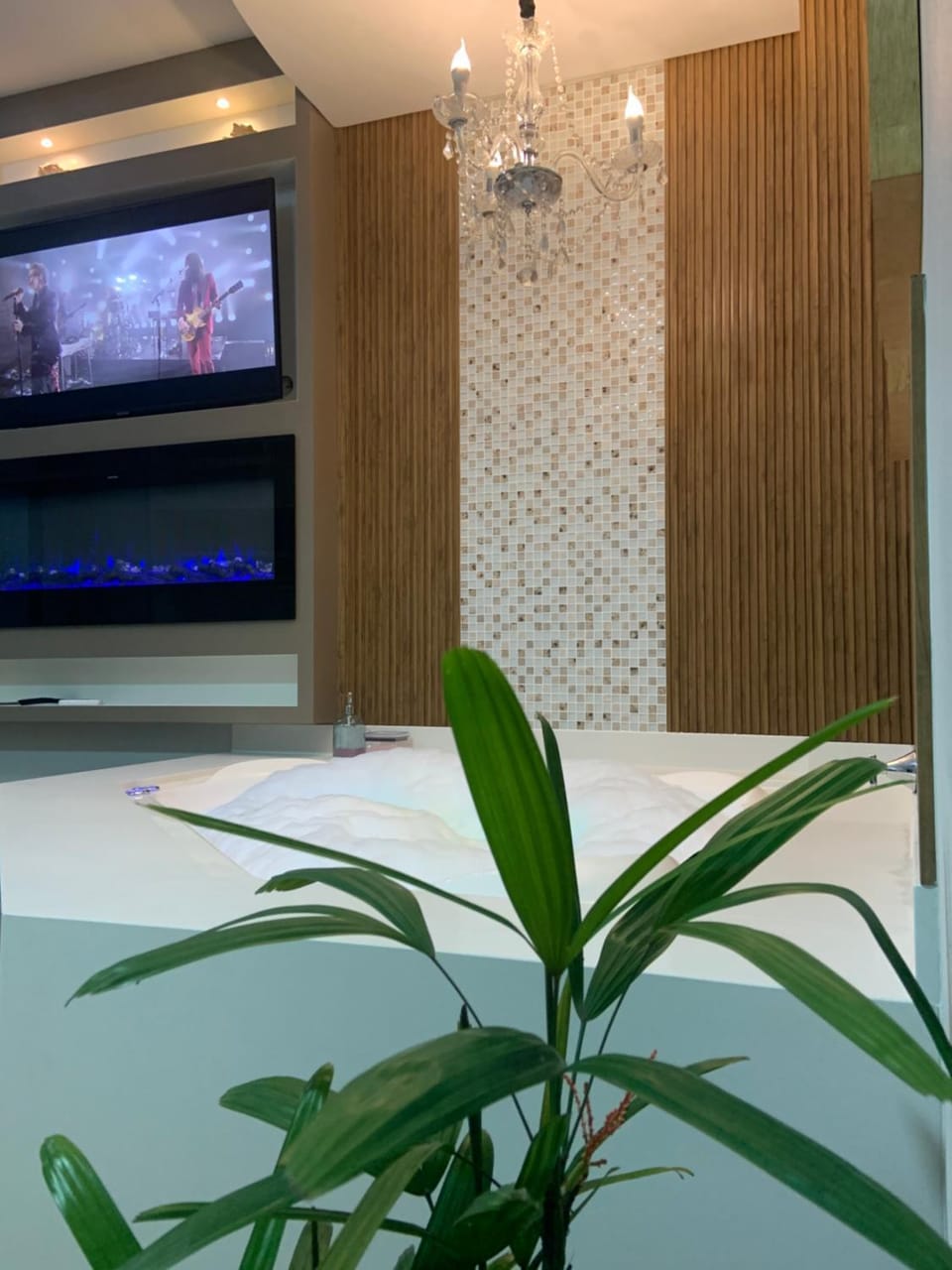 TV and multimedia