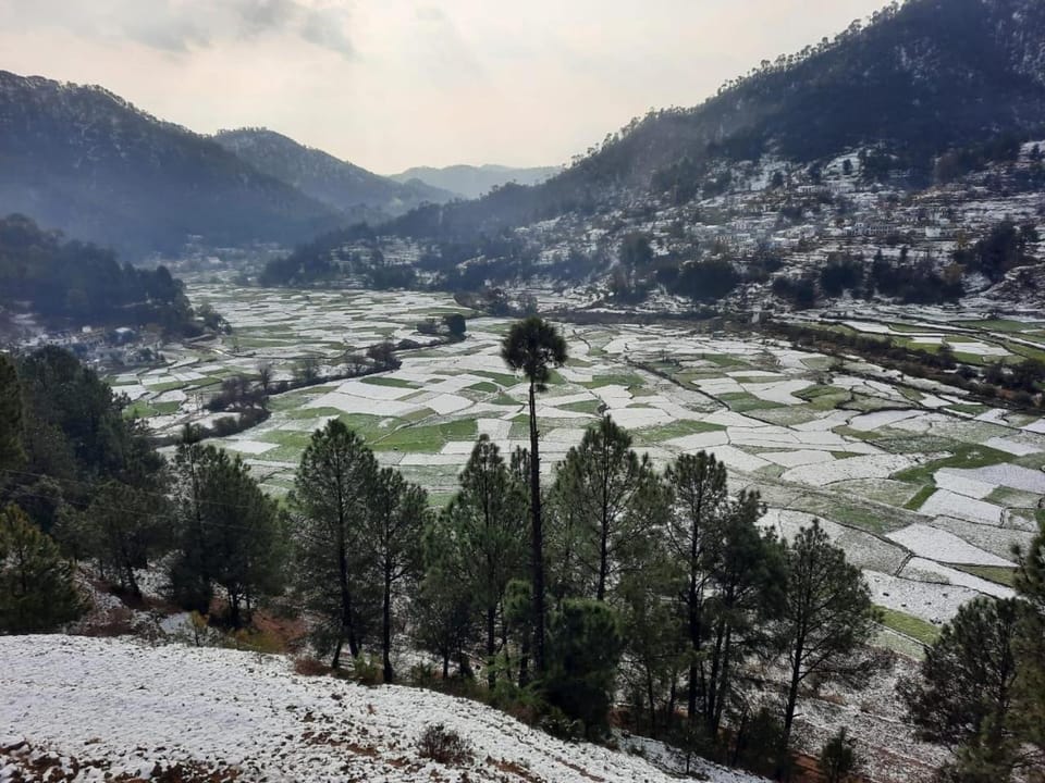 Odyssey Stays Kausani Vacation rental in Uttarakhand
