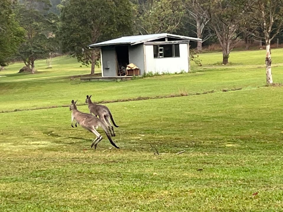 Garden, Animals