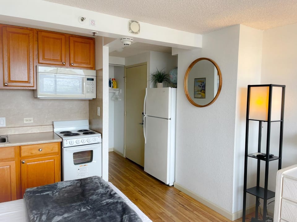 Bright Hawaiian Monarch Studio Apartment in McCully-Moiliili