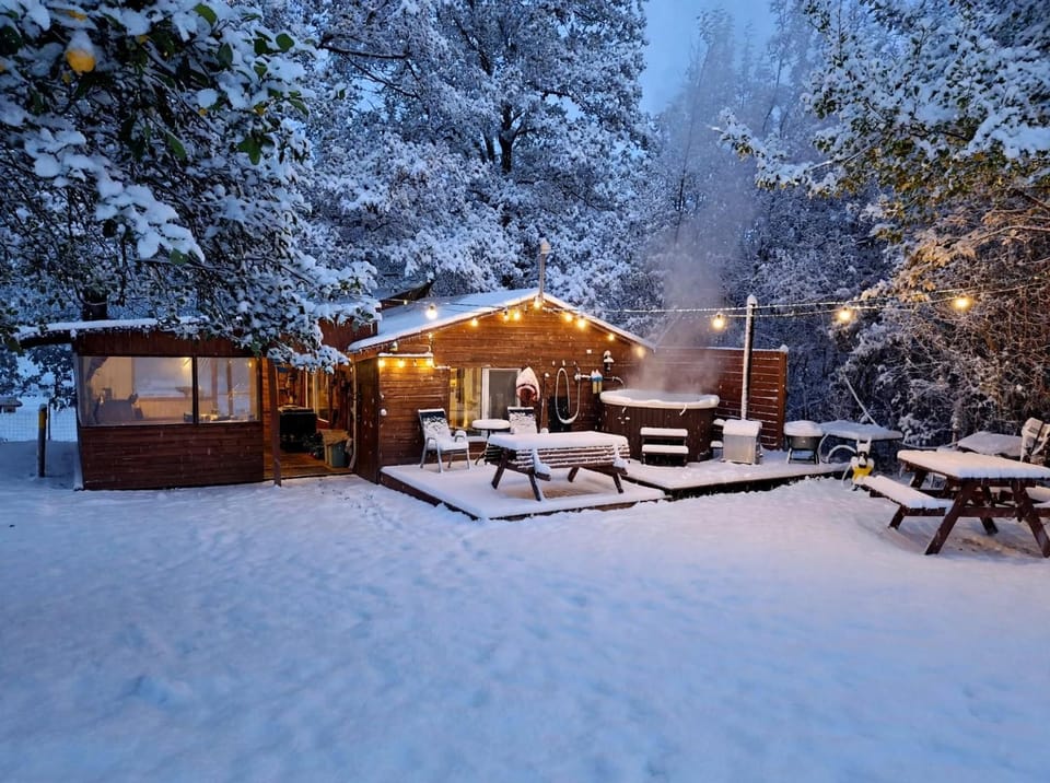 Winter