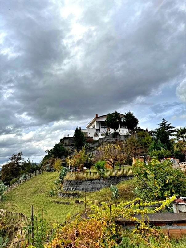 Natural landscape, Garden