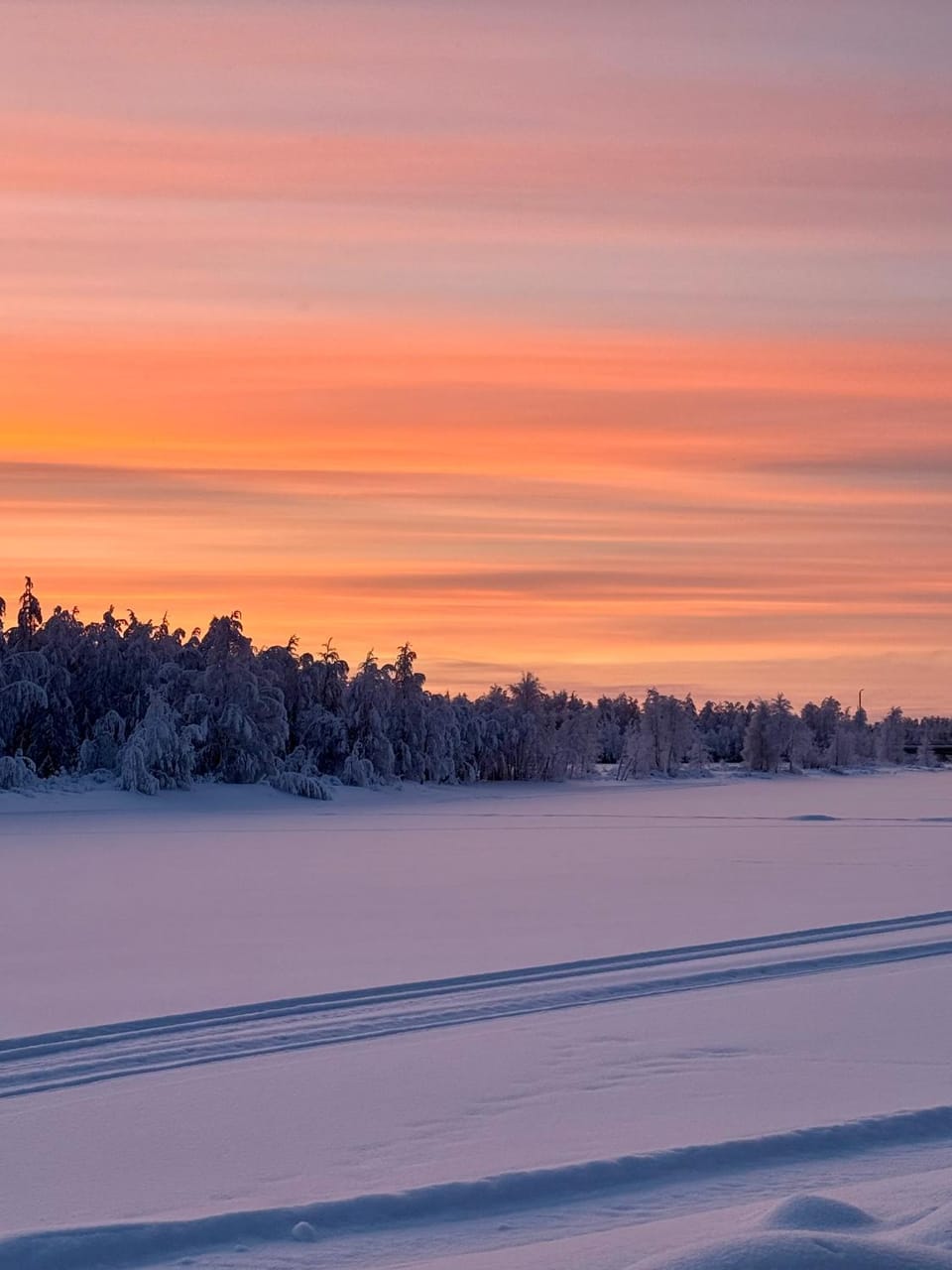 Authentic Log Cottage with Hot Tub Chalet in Lapland