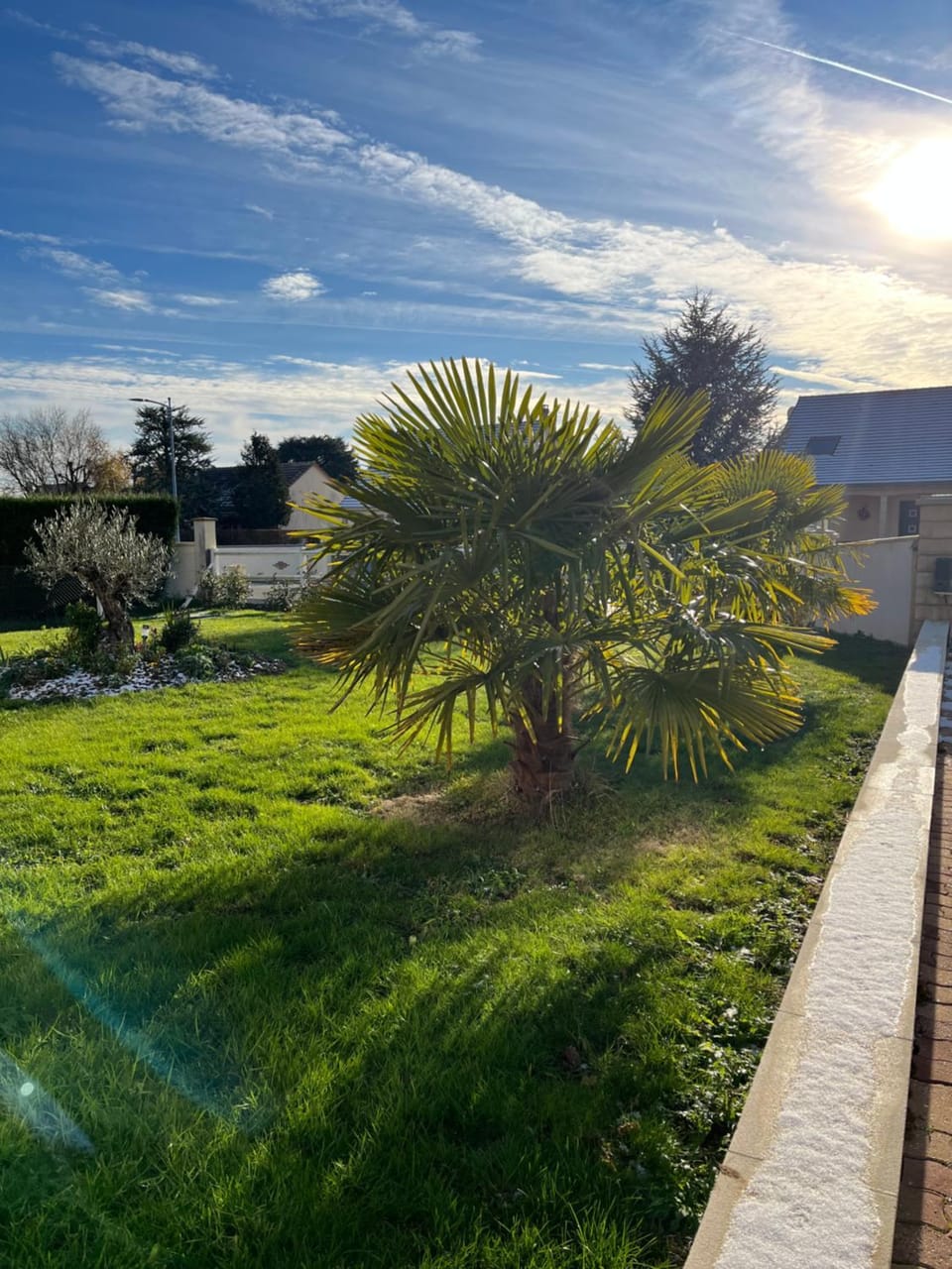Garden view