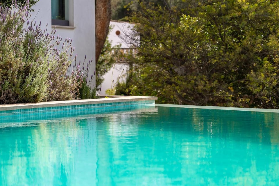 Day, Garden, Garden view, Pool view, Swimming pool
