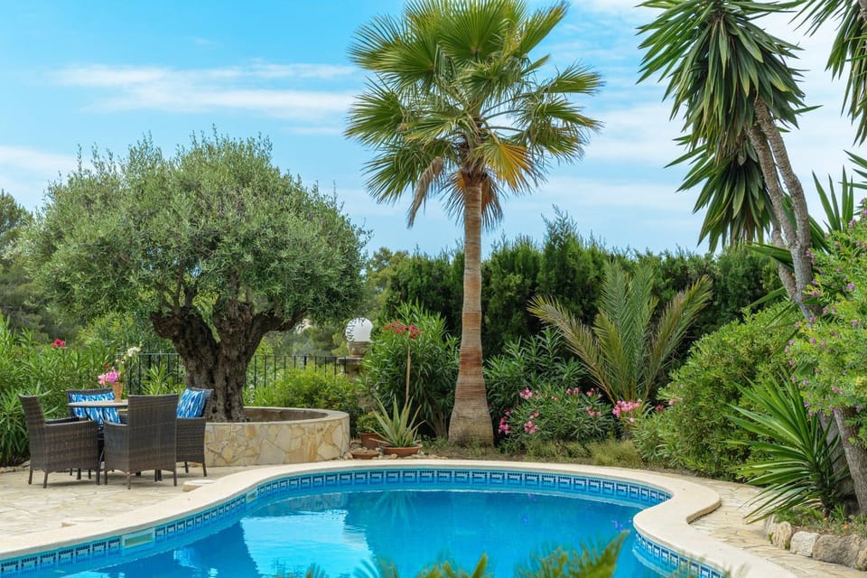 Garden, Garden view, Swimming pool