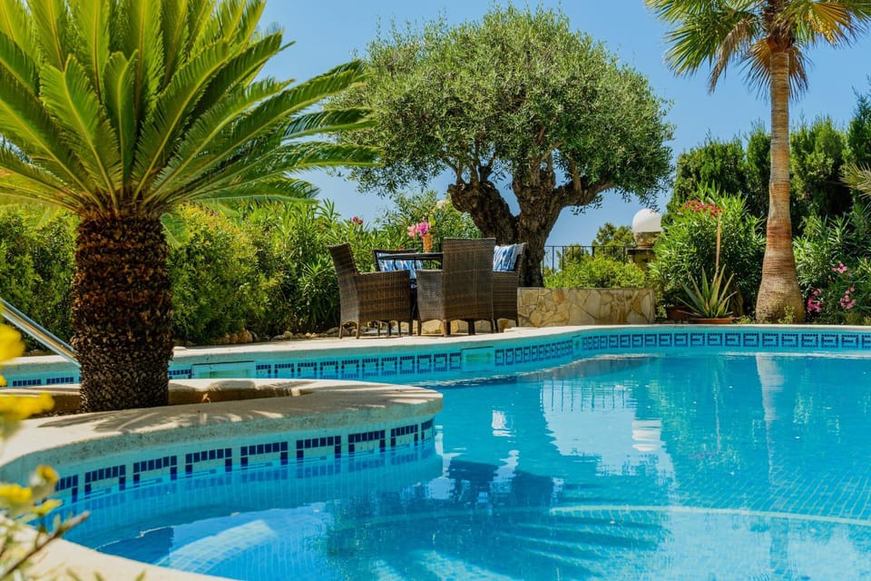 Garden, Garden view, Pool view, Swimming pool