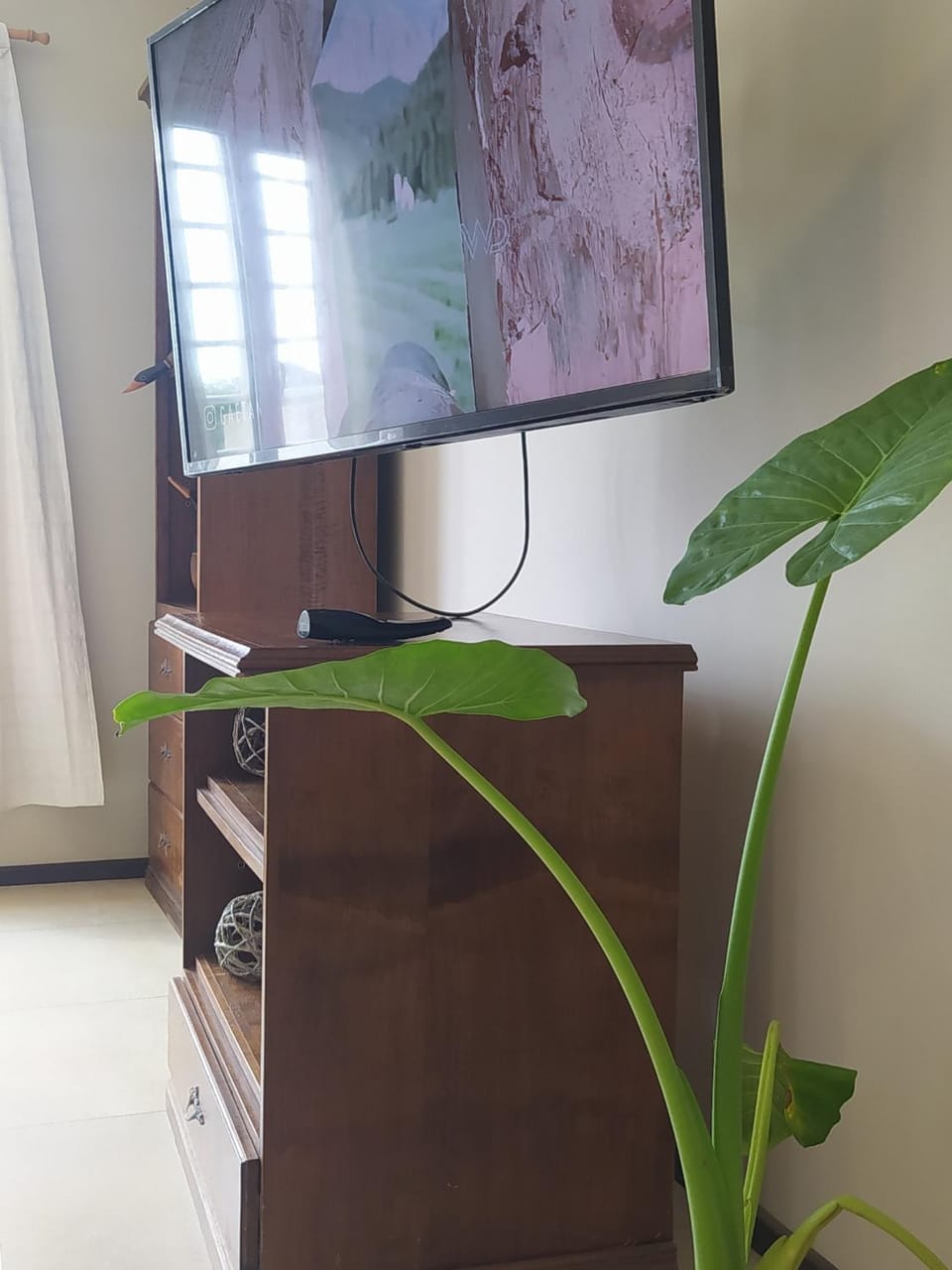 TV and multimedia
