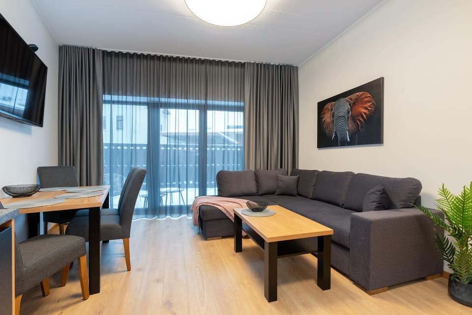 TartuKodu Riia 20A-5 Apartment in Estonia