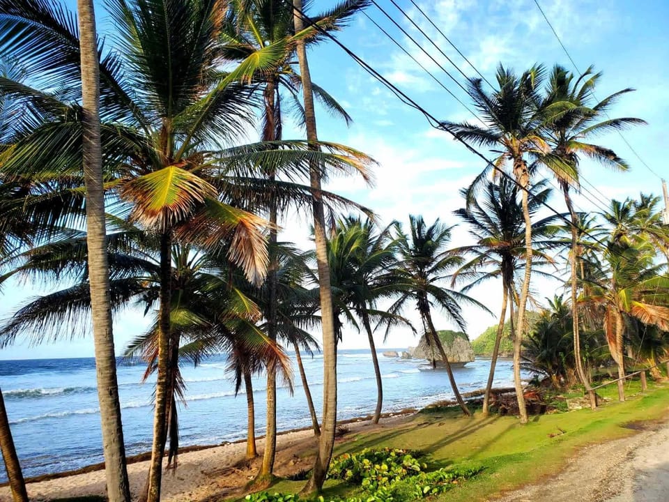 Day, Natural landscape, Beach, Sea view
